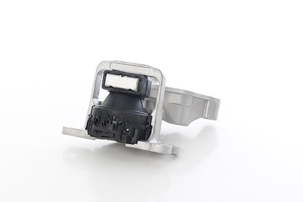 Motor Takozu Ön Renault Talisman (11.2015->)  RENAULT ORJINAL 113754227R