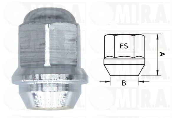 Bijon Somunu  MAHER 02896