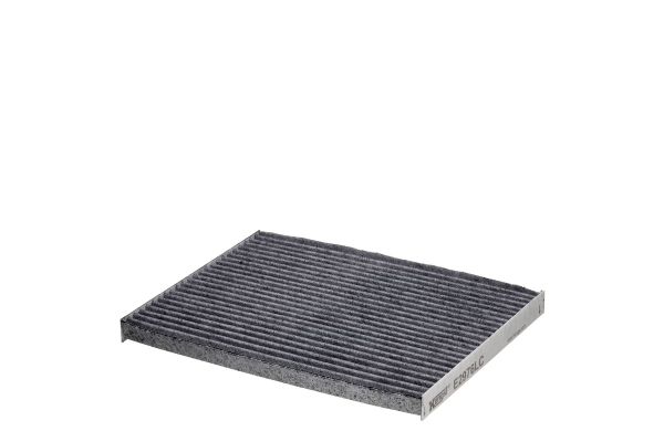 Polen Filtresi  HENGST FILTER E2976LC