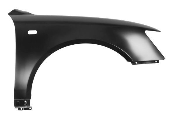 Çamurluk Ön Sağ Hyundai Sonata (NF)(2005->)  EUROBUMP HUN08SO010