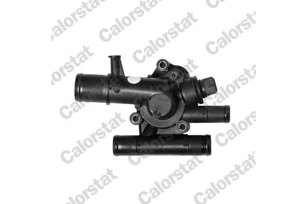 Termostat  Nissan Primera Traveller [SW] (P12)(12.2001->)  CALORSTAT TH6628.89J