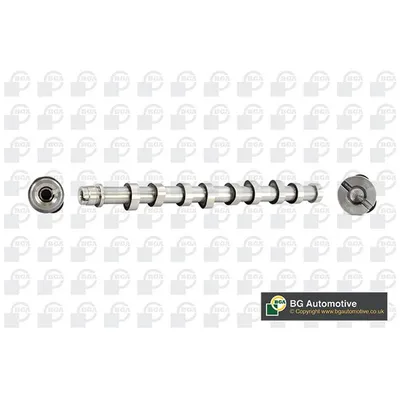 Eksantrik Mili  Citroen Xsara Break (07.1997->)  KRAFTVOLL 12090004