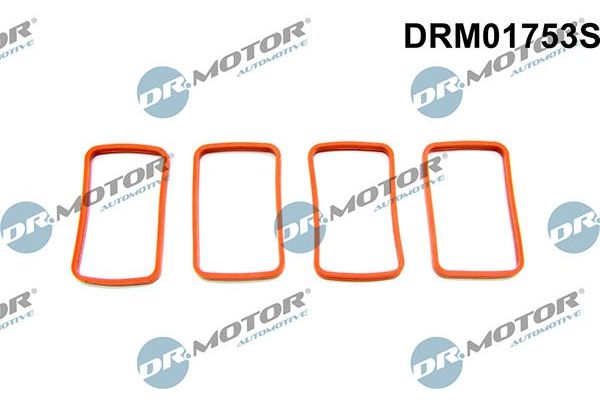 Takım Conta  ROYAL H7 681400