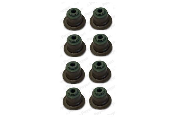 Supap Lastiği  PAYEN HR808