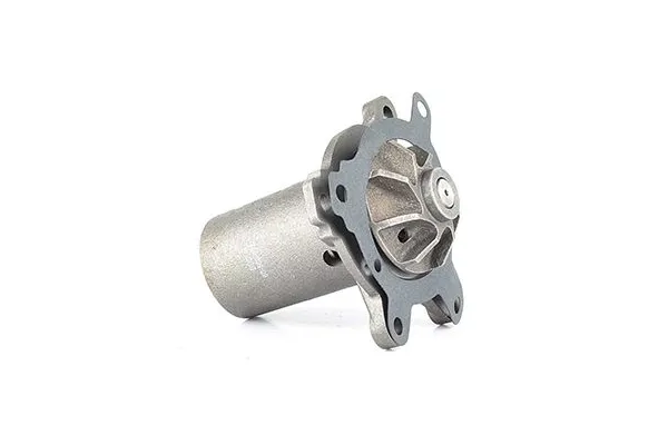 Devirdaim Su Pompası  BSG 60-500-003