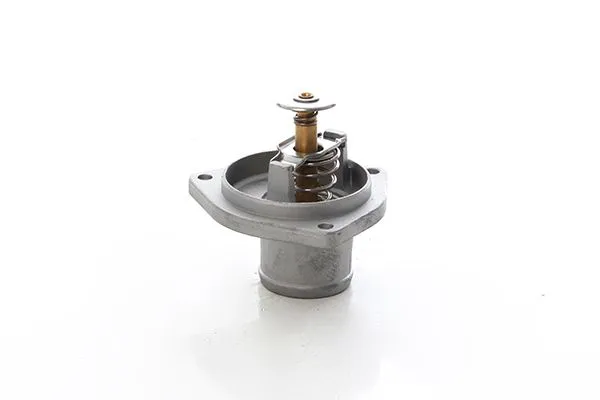 Termostat  Mercedes S -Serisi Sedan (BM 140)(10.1990->)  BSG 60-125-025