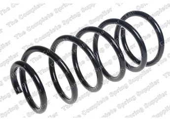 Helezon Yayı Arka LESJÖFORS 4292639  4823160G31 4823160G40