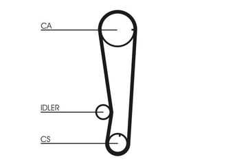 Triger Kayışı  CONTINENTAL CT715  MD113564 2431224000 2431224010 2431224050 MD116786 XD113564