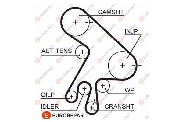 Triger Kayışı  Toyota Corolla Verso (R1)(2004->)  EUROREPAR 1633130280