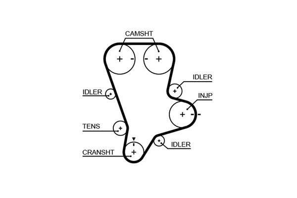 Triger Kayışı  GATES 5644XS