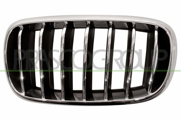 Panjur Ön Sol BMW X5 Serisi (F15)(02.2014->)  EUROBUMP BMW09X5043