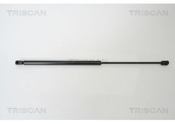 Bagaj Amortisörü Sağ veya Sol FROW 555.1650.008  MR959247