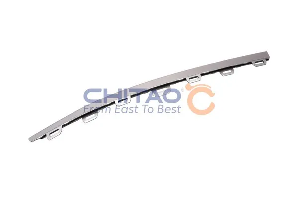 Tampon Çıtası Ön Sağ WAGENBURG OMA5-1402