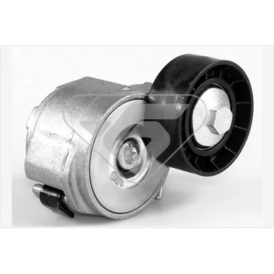 Vantilatör Kayış Gergi Rulmanı  Fiat Croma (194)(06.2005->)  HUTCHINSON T0284