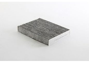 Polen Filtresi  BSG 75-145-019  272775081R 27 27 750 81R 272772519R 27 27 725 19R