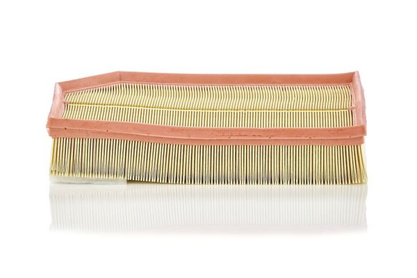 Hava Filtresi  MANN C 33 194