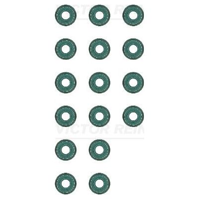 Supap Lastiği  Citroen C3 (08.2016->)  REINZ 12-33512-02