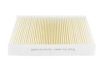 Polen Filtresi  BSG 65-145-011  1808246 13271191 13503677 52420930 55102242 EC13271191 95527473 J13271191 13271190 1808061 1808524 95369731