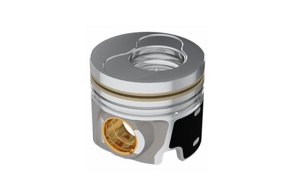 Piston (81.01MM-STD)  YENMAK 31-30070-000