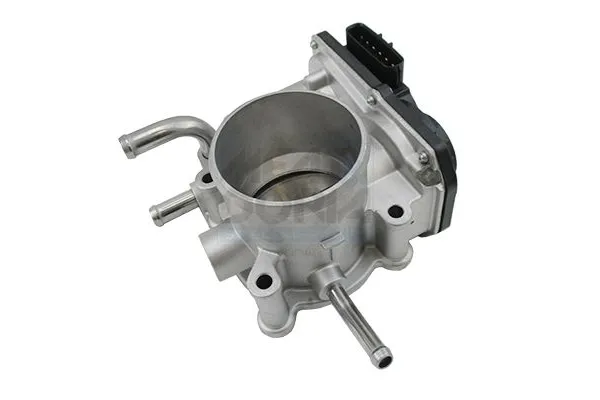 Gaz Kelebeği  MOBIS 351002B300