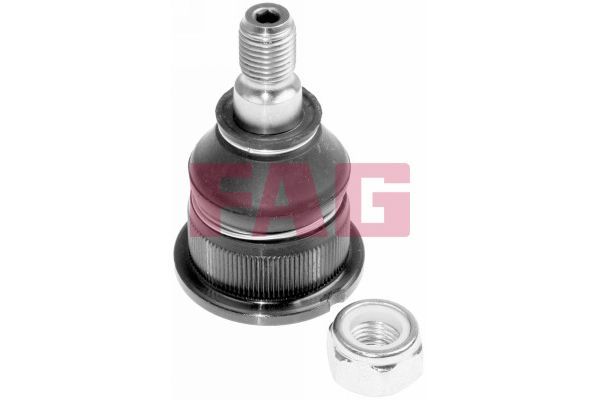 Rotil Alt Sağ veya Sol VOTTO 30-06102