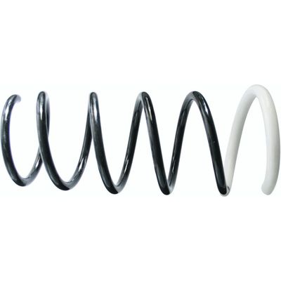 Helezon Yayı Arka SACHS 994 631