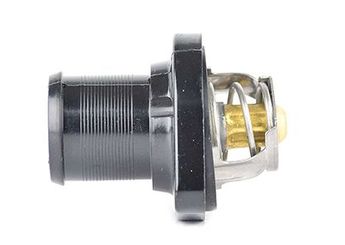 Termostat  BSG 70-125-002  1336Q1 9630066780 1336N5 1336-Q1 1336-N5