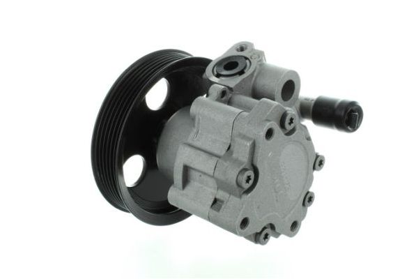 Direksiyon Pompası  SPIDAN 52876