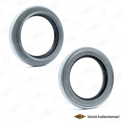 Aks Keçesi  SKT 047402