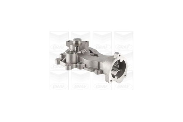 Devirdaim Su Pompası  GRAF PA1124