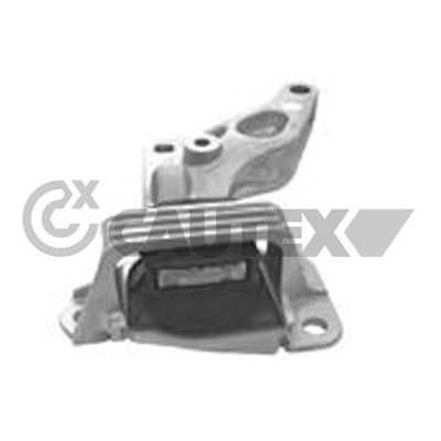 Motor Takozu Sağ Renault Megane III Coupe / Cabrio (04.2010->)  RIW RN12104