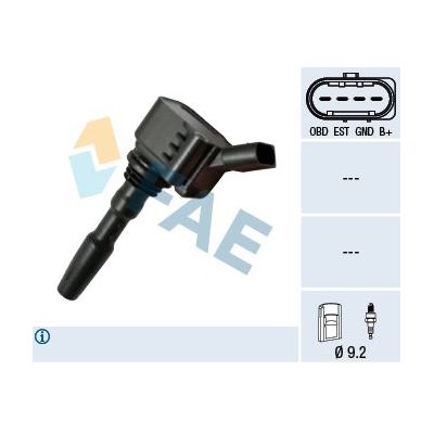 Ateşleme Bobini  Cupra Leon Sportstourer (KL8/KU8)(09.2020->)  GVA 5075005