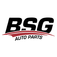 BSG