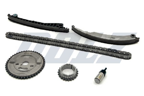 Triger Zincir Seti  DOLZ SKCB019F