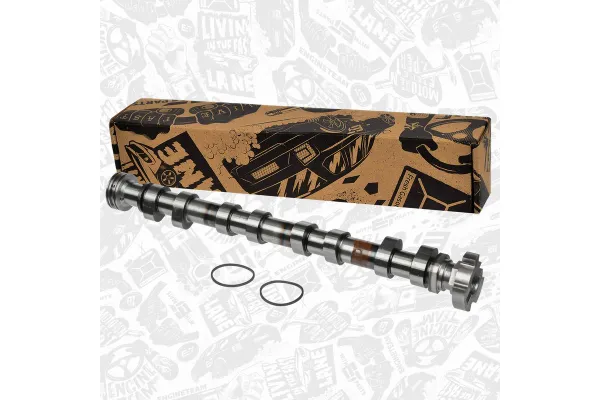 Eksantrik Mili  ESTAS 08002