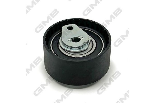 Triger Gergi Rulmanı  Renault Avantime (07.2001->)  GMB GTB0250