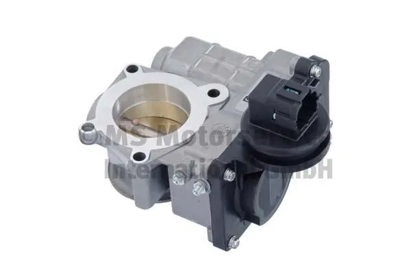 Gaz Kelebeği  PIERBURG 7.03703.25.0