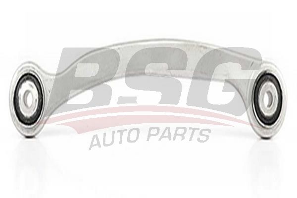 Denge Kolu Arka Sol BSG 60-310-060