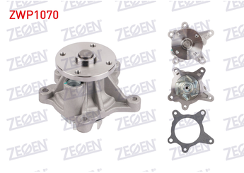 Devirdaim Su Pompası  ZEGEN ZWP1070  251002B000 251002B010 251002B700 25100-2B000