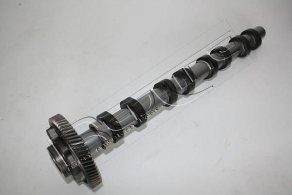 Eksantrik Mili  MOBIS 242002F000