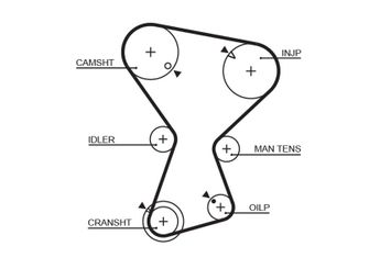 Triger Kayışı  GATES 5072  MD130268 PMTB91 MD071052 MD095266 MD102250 MD197150 XD102250