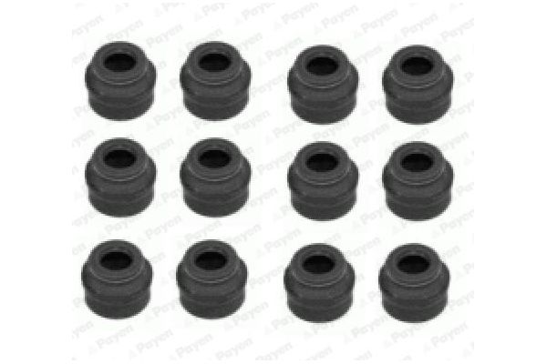 Supap Lastiği  PAYEN HR662