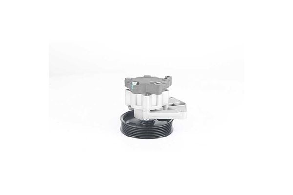 Direksiyon Pompası  BSG 60-355-030