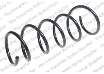 Helezon Yayı Ön BSG 75-305-029  540107794R