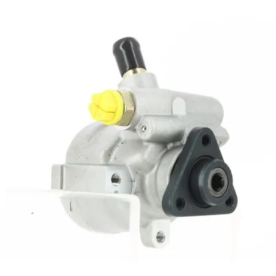 Direksiyon Pompası  Fiat Punto (176) Cabrio (03.1994->)  BSG 25-355-002