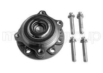 Teker Rulmanı Arka Sağ veya Sol CIFAM 619-2881  50703092 50707556 71753816