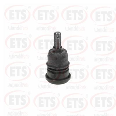 Rotil Alt Sağ veya Sol RIW FO1072