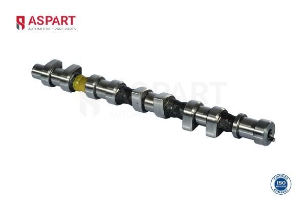 Eksantrik Mili  ASPART 8CAM1090