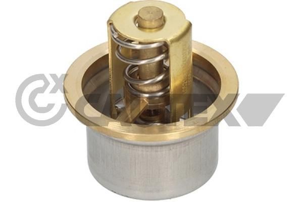 Termostat  BMW M3 Serisi Coupe (E46)(2000->)  WAHLER 4621.80D