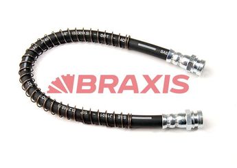 Fren Hortumu Arka Sağ BRAXIS AH0605  587381C000